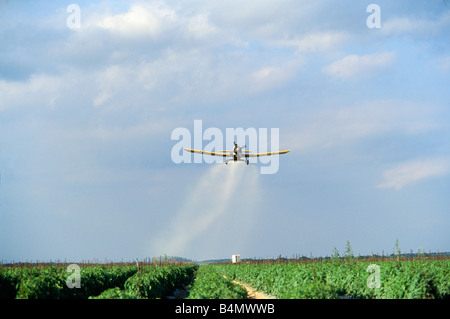 Crop duster airplane spraying crops, Florida Stock Photo