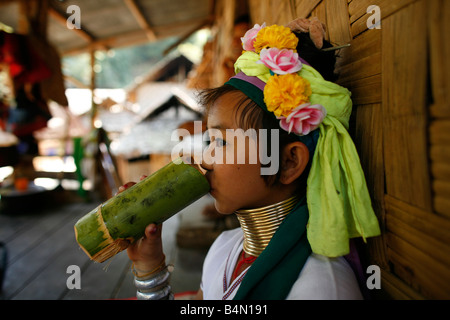 A young Longneck girl drinks from a bamboo cup Approximately 300 Burmese refugees in Thailand are members of the indigenous group known as the Longnecks The largest of the three villages where the Longnecks live is called Nai Soi located near Mae Hong Son City Longnecks wear metal rings on their necks which push the collarbone down and extend the neck They are a tourist attraction Tourists visit Nai Soi to take pictures of the Longnecks and buy their handicrafts The villages are criticized by human rights organizations as human zoos Stock Photo