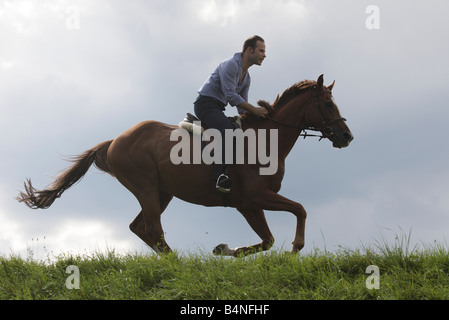 Silhouette of a man galopping on horseback across a green meadow. Stock Photo