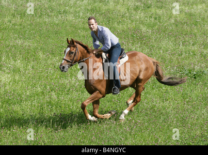 Man galopping on horseback across a green meadow. Stock Photo