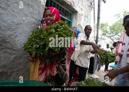 Khat is sold in Berbera, Somaliland, northern Somalia Stock Photo