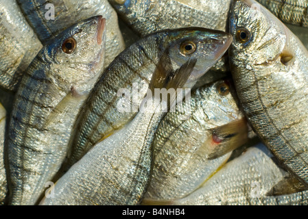 Produce at the San Polo Fish Market, Campo della Pescaria, San Polo, Venice, Italy. Stock Photo