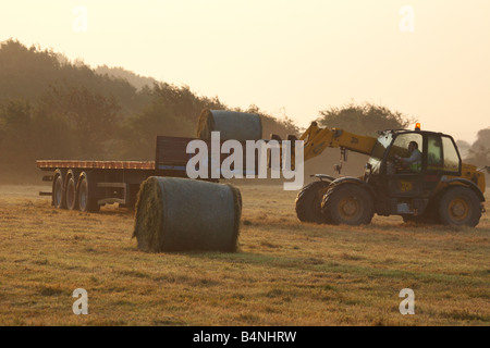 A farmer loading freshly cut hail bales onto his trailer on a misty morning at dawn on the Norfolk Broads Stock Photo