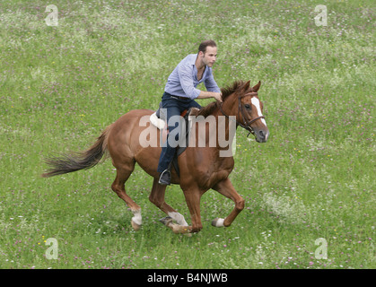 Man galopping on horseback across a green meadow. Stock Photo