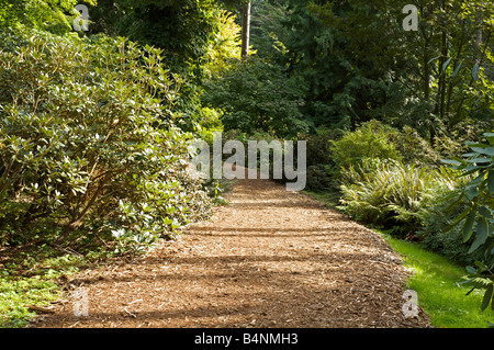 UBC Botanical Garden, Vancouver, 'British Columbia' Canada Stock Photo