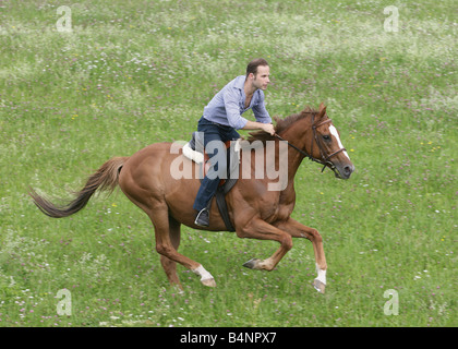 Man galopping on horseback across a green meadow. Stock Photo