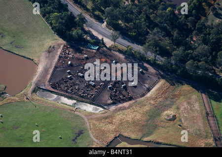 cattle holding yard Stock Photo