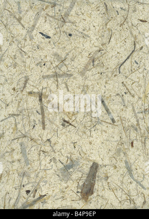 Rough surface of the handmade paper with remains of plants - natural product Stock Photo