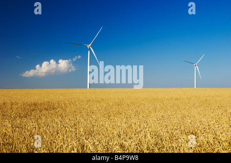 Windmills on the prairies with grain fields near St Leon Manitoba Canada Stock Photo