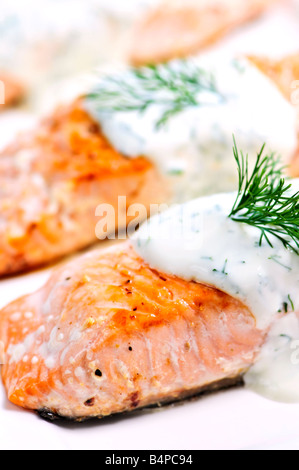 Cooked salmon fillets with dill sauce on white plate Stock Photo