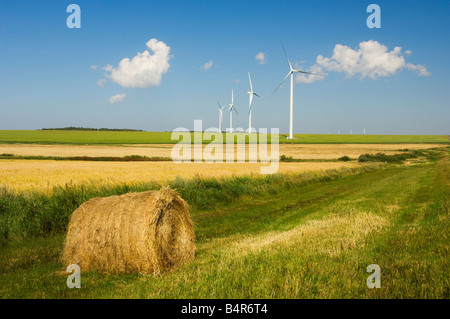 Windmills on the prairies with grain fields near St Leon Manitoba Canada Stock Photo