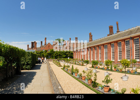 Lower Orangery Exotics Garden, Hampton Court Palace Stock Photo