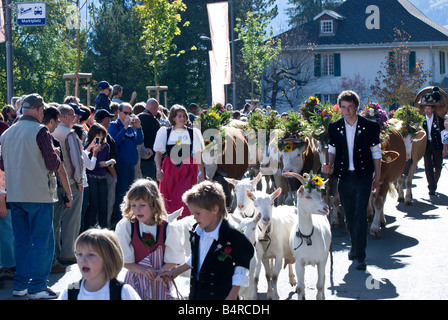 Swiss children and adults dressed in traditional folk costumes lead their cows and goats in the annual Alpenfest parade. Stock Photo