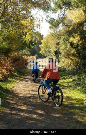 Cycling in the New Forest, Hampshire, England. Stock Photo