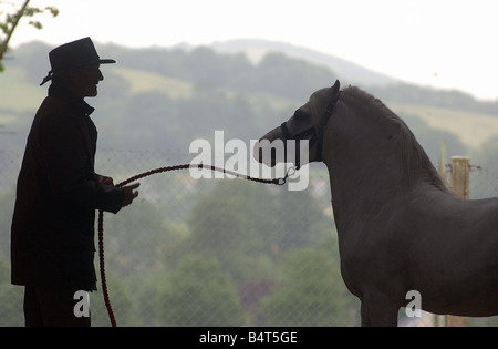 A horse is led from the stables at the Welsh Pony and Cob Society Centenary Show at the Royal Welsh showground in Builth Wells 1st August 2002