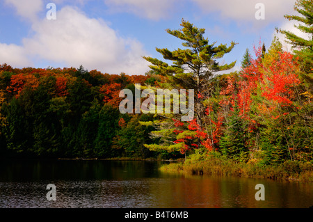 Autumn in Ontario Stock Photo