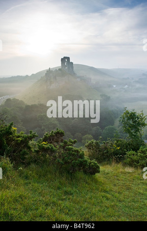 Corfe Castle at sunrise on summer morning from West Hill Dorset England UK Stock Photo