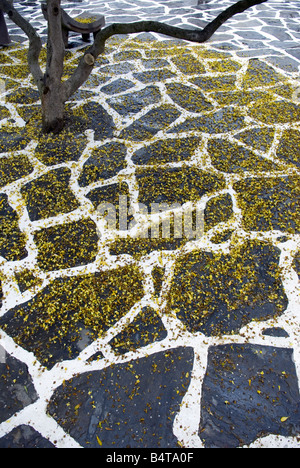 looking down onto a wet flagstone slate terrace with tree and fallen bright yellow leaves Stock Photo