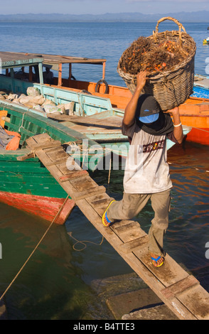 Oil palm kernels being brought ashore for processing at Tawau Sabah Malaysia Stock Photo