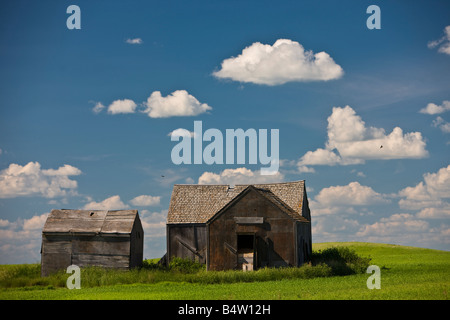 Old barns in a field in the Qu'Appelle Valley, Saskatchewan, Canada. Stock Photo