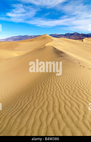 Early morning in the Mesquite Sand Dunes adjacent to Stovepipe Wells in Death Valley National Park, California. This illustrates Stock Photo