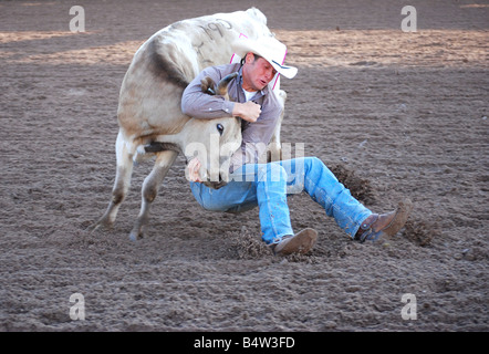 Rodeo cowboy wrestling a steer Stock Photo