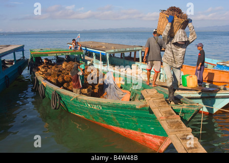 Oil palm kernels being brought ashore for processing at Tawau Sabah Malaysia Stock Photo