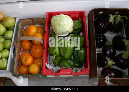 Homegrown Vegetables Stock Photo