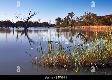 Loch Luna Reserve Barmera Riverland South Australia Stock Photo