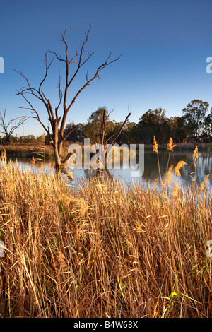 Loch Luna Reserve Barmera Riverland South Australia Stock Photo