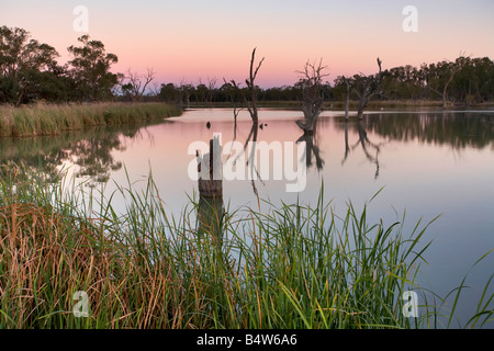 Loch Luna Reserve Barmera Riverland South Australia Stock Photo