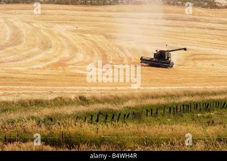 a combine harvesting the wheat crops in the rolling hills of the Palouse area of southeastern Washington state summer 2006 Stock Photo