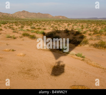 Shadow of Hot Air Balloon in the Desert, Phoenix, Arizona, USA Stock Photo