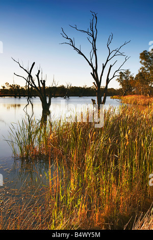 Loch Luna Reserve Barmera Riverland South Australia Stock Photo