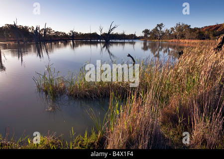 Loch Luna Reserve Barmera Riverland South Australia Stock Photo