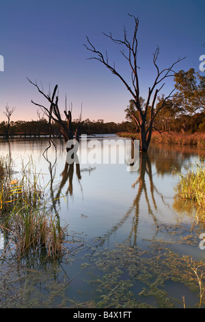 Loch Luna Reserve Barmera Riverland South Australia Stock Photo