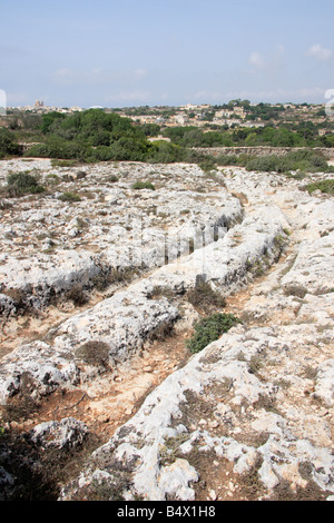 The 'Cart Ruts' of 'Clapham Junction' in Malta. Stock Photo