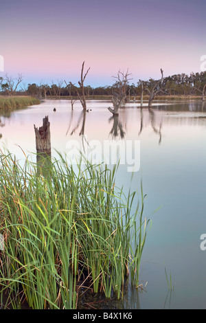 Loch Luna Reserve Stock Photo