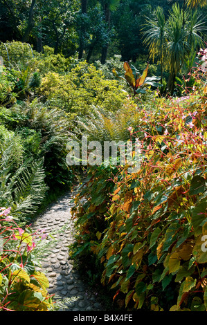 tropical garden, gardone, lake garda, italy Stock Photo