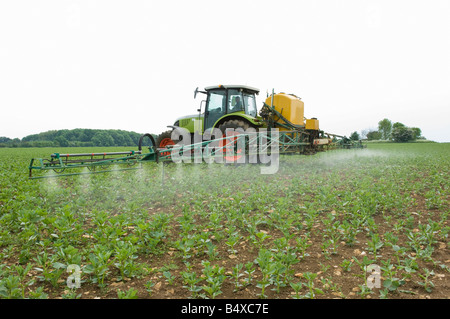 Tractor in field spraying crop Stock Photo