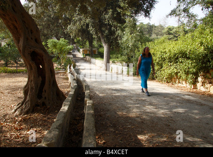 A woman walking along a path in the Buskett Gardens, Malta. Stock Photo