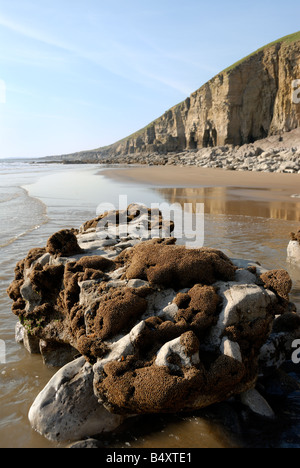 Cliffs at Dunraven Bay between Ogmore and Southerndown Stock Photo