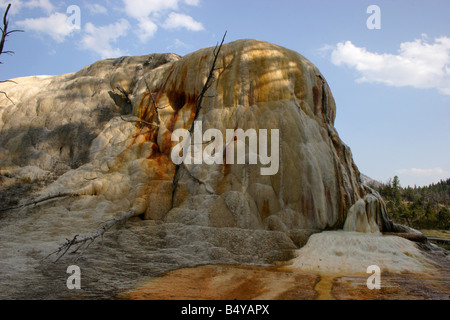 Orange Spring Mound Mammoth Hot Springs Yellowstone Park in July Stock Photo
