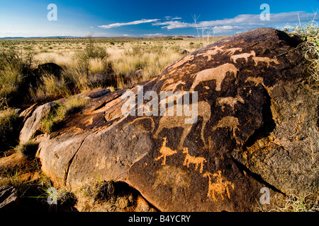 Bushmen, petroglyphs, Kenhardt, Northern Cape, South Africa Stock Photo