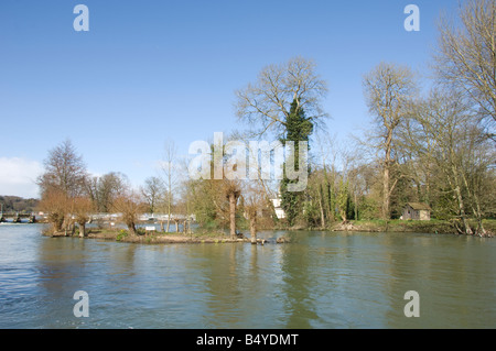 Island in the weir pool at Pangbourne on the river Thames Stock Photo