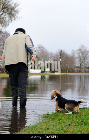 man pulling dog across flooded road Stock Photo