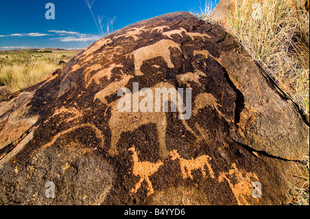 Bushmen, petroglyphs, Kenhardt, Northern Cape, South Africa