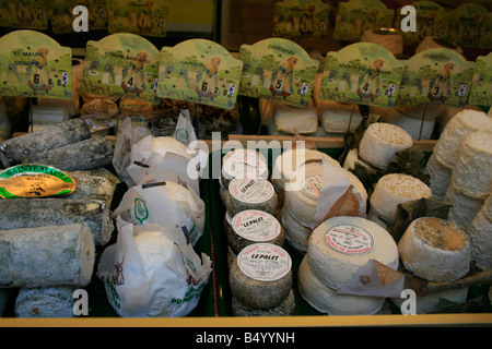 Various cheeses on display in a cheese shop in Senlis Stock Photo