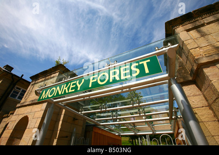 Monkey forest entrance,  Trentham Gardens Stoke-on-Trent  Staffordshire Stock Photo