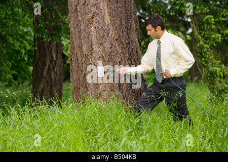 A mixed race businessman holding an electrical extension cord about to plug it in to a electrical outlet on a tree in a grassy f Stock Photo